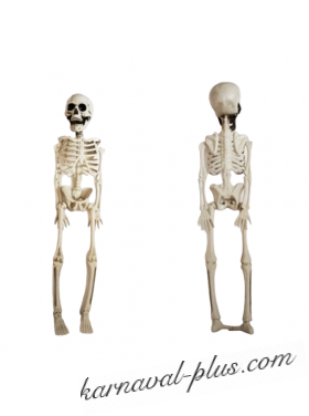 Скелет декоративный, 40см