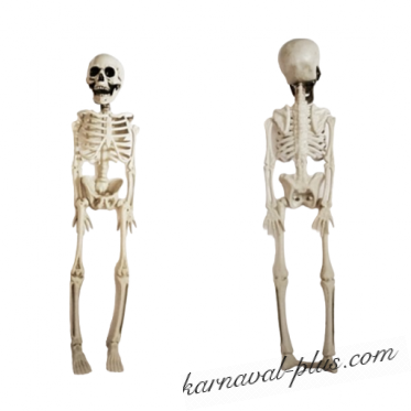 Скелет декоративный, 40см